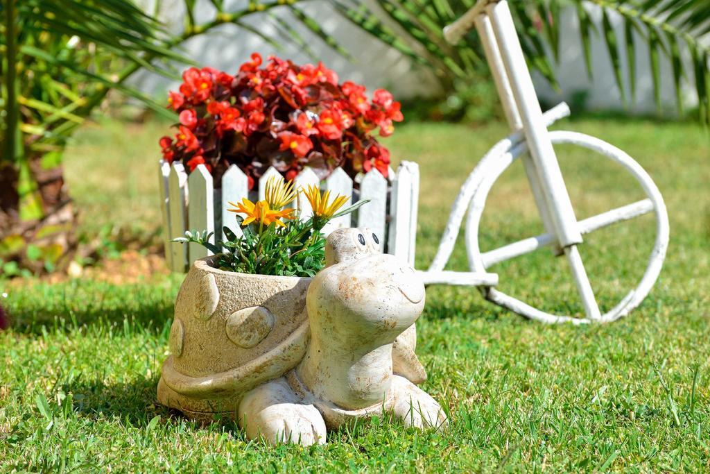 Villa Antonio Drage Luaran gambar